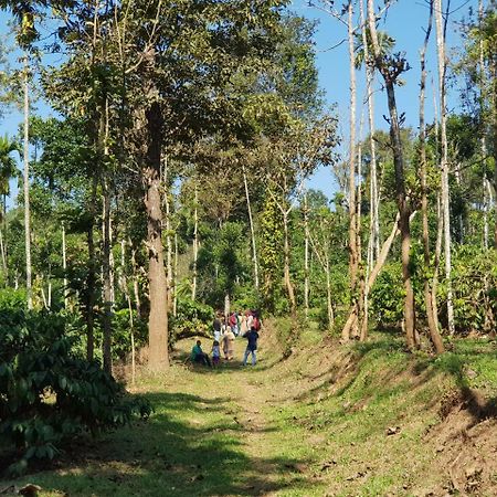 The Suvistara Wayanad Kerala Bed & Breakfast Meenangadi Luaran gambar
